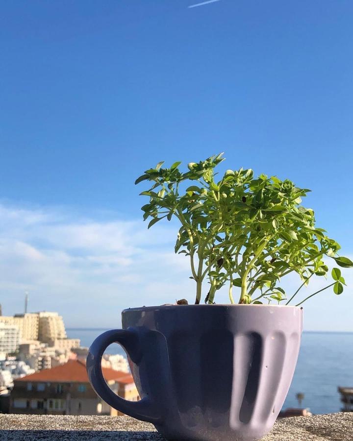 Apartment Studio Kul Budva